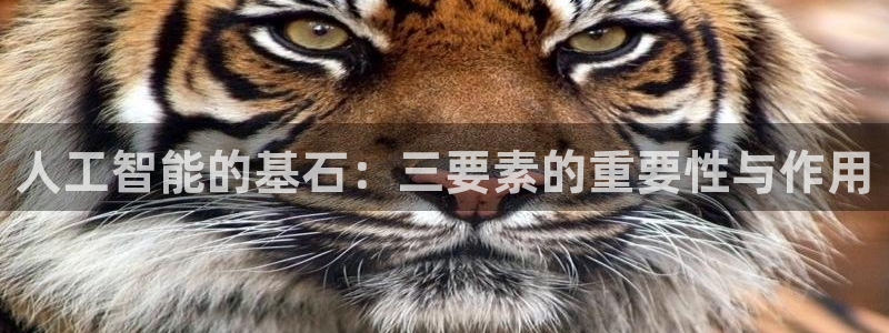 人工智能的基石：三要素的重要性与作用