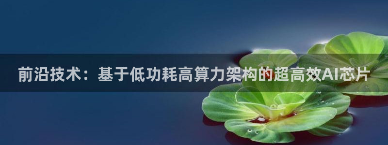 前沿技术：基于低功耗高算力架构的超高效AI芯片
