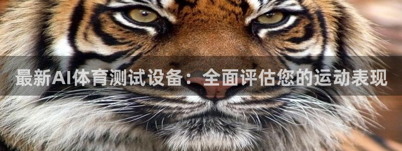 最新AI体育测试设备：全面评估您的运动表现
