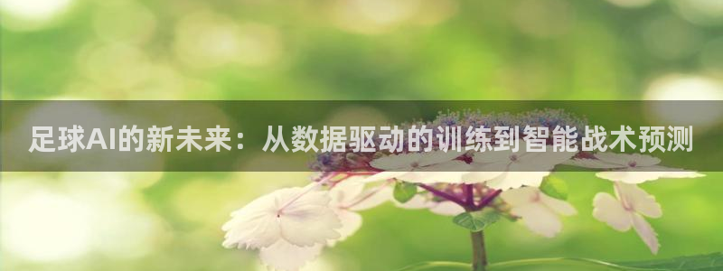 足球AI的新未来：从数据驱动的训练到智能战术预测