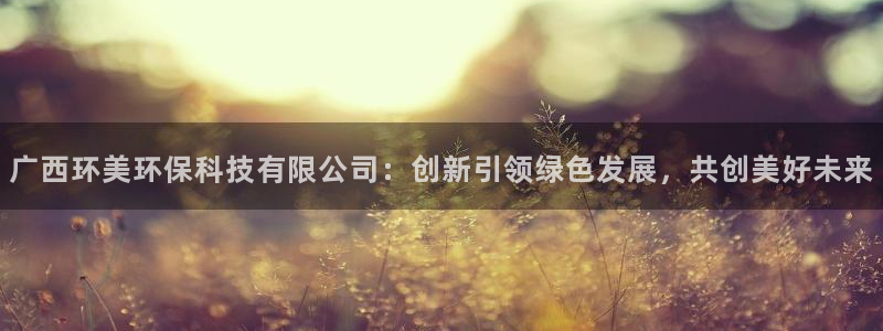 广西环美环保科技有限公司：创新引领绿色发展，共创美好未来