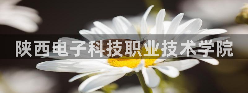 陕西电子科技职业技术学院