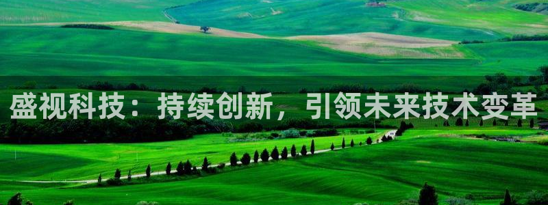 盛视科技：持续创新，引领未来技术变革