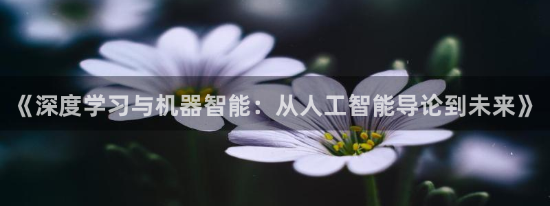 《深度学习与机器智能：从人工智能导论到未来》