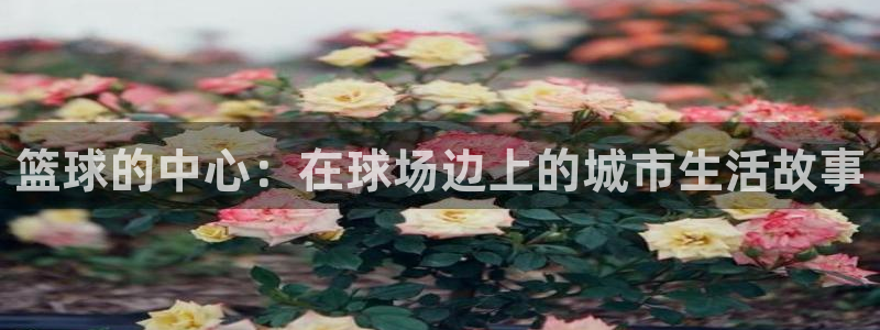 篮球的中心：在球场边上的城市生活故事
