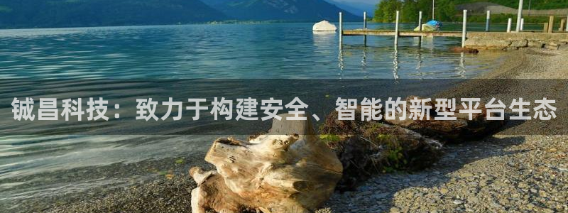 铖昌科技：致力于构建安全、智能的新型平台生态