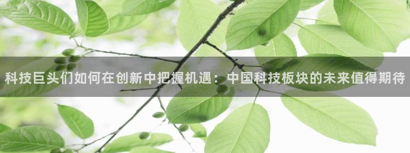 科技巨头们如何在创新中把握机遇：中国科技板块的未来值得期待
