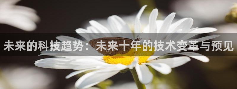 未来的科技趋势：未来十年的技术变革与预见