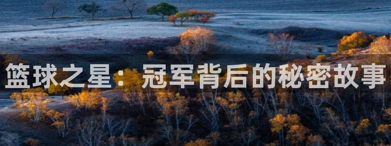 篮球之星：冠军背后的秘密故事