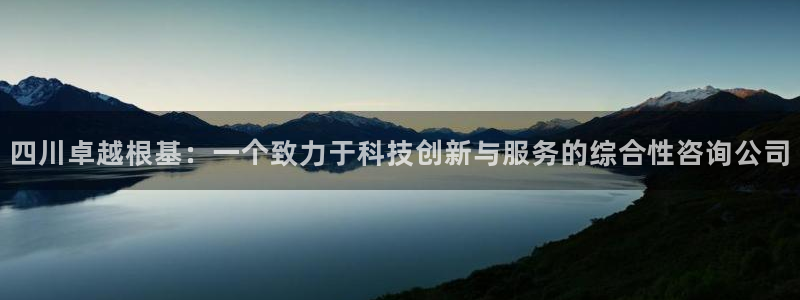 四川卓越根基：一个致力于科技创新与服务的综合性咨询公司