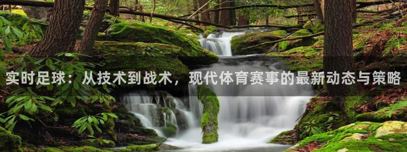 实时足球：从技术到战术，现代体育赛事的最新动态与策略