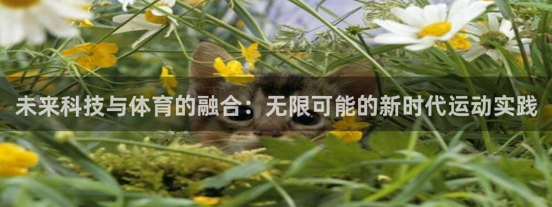 未来科技与体育的融合：无限可能的新时代运动实践