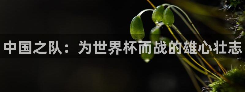 中国之队：为世界杯而战的雄心壮志