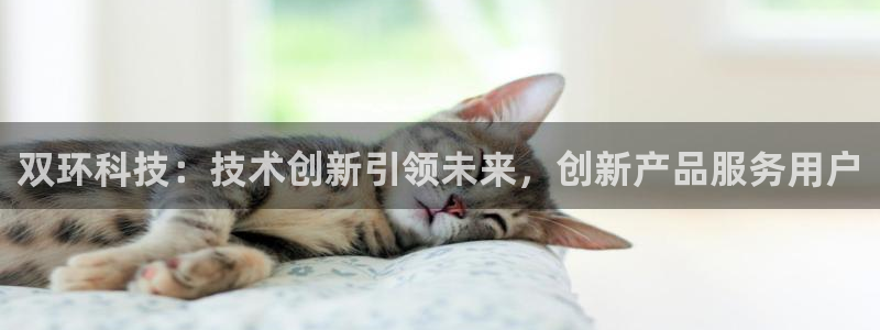 双环科技：技术创新引领未来，创新产品服务用户