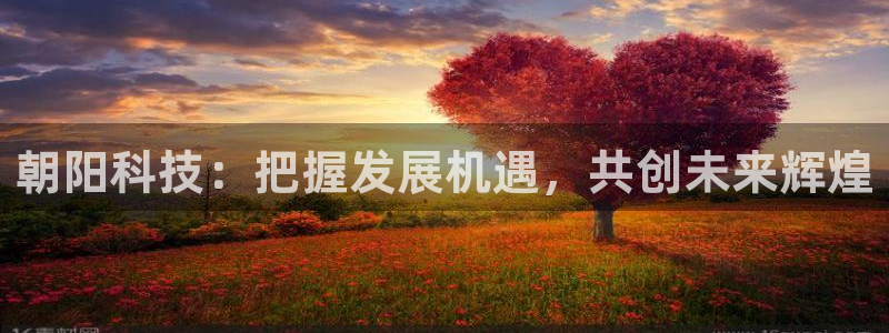 朝阳科技：把握发展机遇，共创未来辉煌