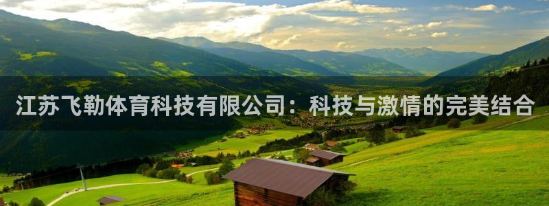 江苏飞勒体育科技有限公司：科技与激情的完美结合
