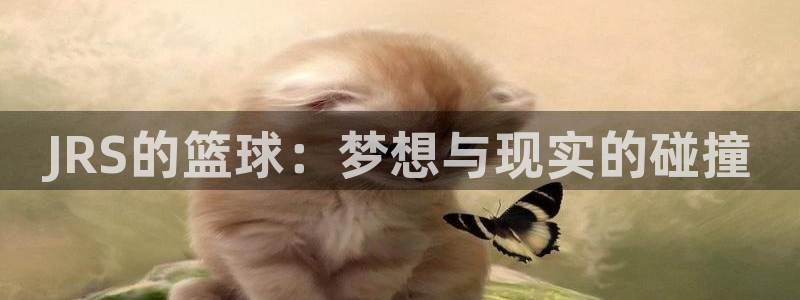 JRS的篮球：梦想与现实的碰撞