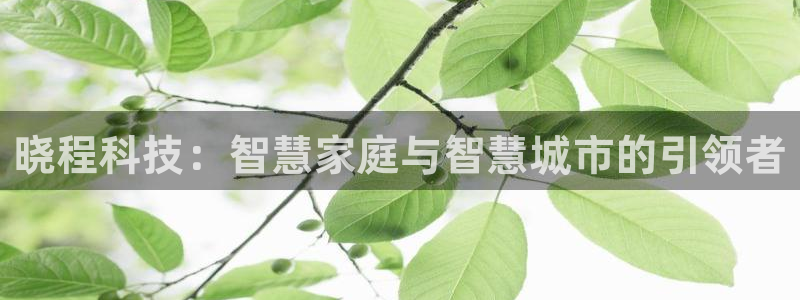 晓程科技：智慧家庭与智慧城市的引领者