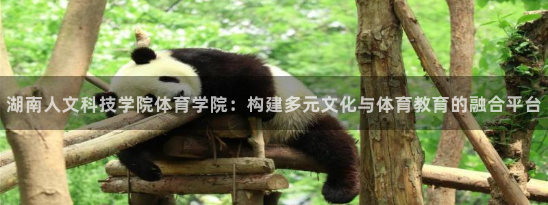 湖南人文科技学院体育学院：构建多元文化与体育教育的融合平台