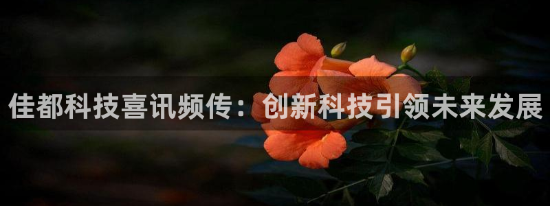 佳都科技喜讯频传：创新科技引领未来发展