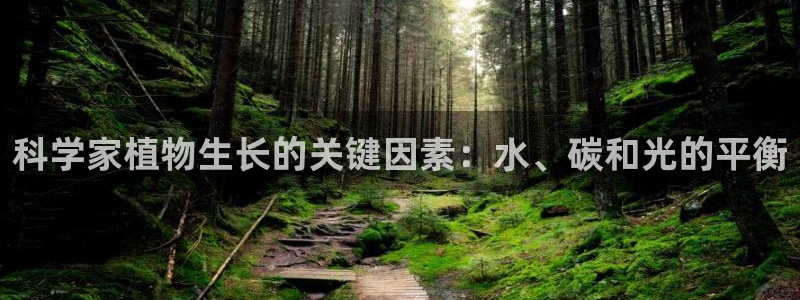 科学家植物生长的关键因素：水、碳和光的平衡