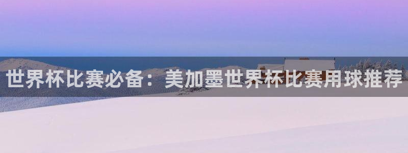 世界杯比赛必备：美加墨世界杯比赛用球推荐