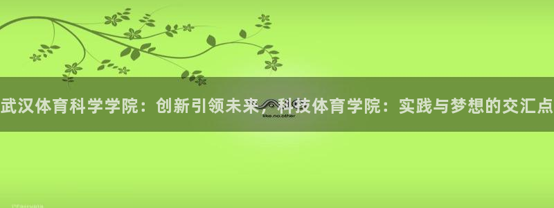 武汉体育科学学院：创新引领未来，科技体育学院：实践与梦想的交汇点