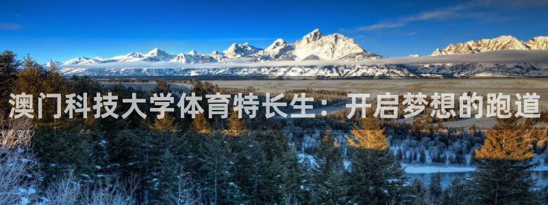 澳门科技大学体育特长生：开启梦想的跑道