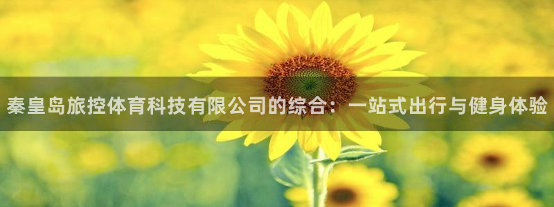 秦皇岛旅控体育科技有限公司的综合：一站式出行与健身体验