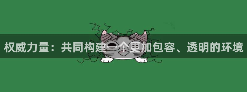 权威力量：共同构建一个更加包容、透明的环境