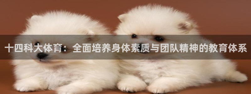 十四科大体育：全面培养身体素质与团队精神的教育体系