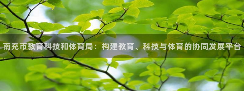 南充市教育科技和体育局：构建教育、科技与体育的协同发展平台