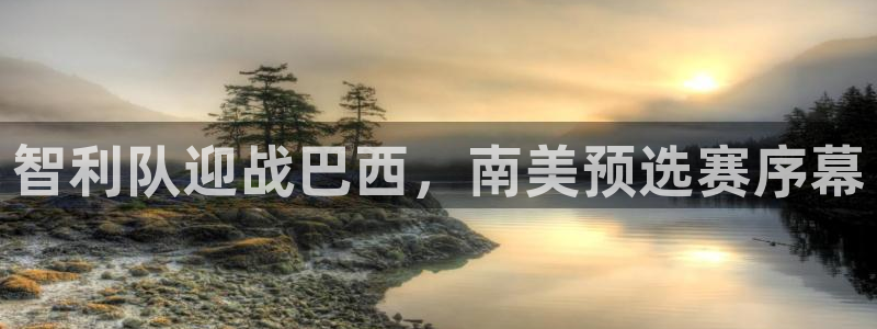 智利队迎战巴西，南美预选赛序幕