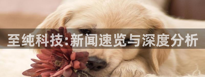 至纯科技:新闻速览与深度分析