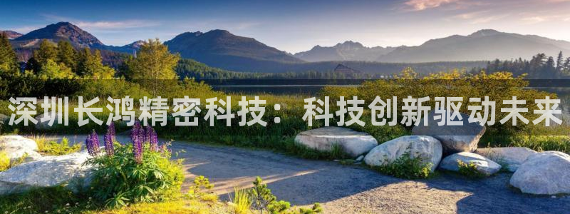 深圳长鸿精密科技：科技创新驱动未来