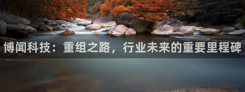 博闻科技：重组之路，行业未来的重要里程碑