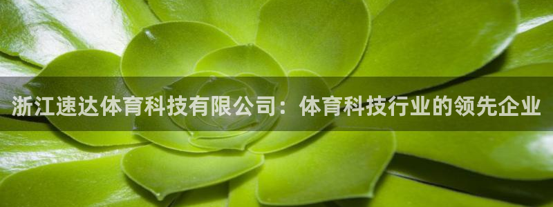 浙江速达体育科技有限公司：体育科技行业的领先企业