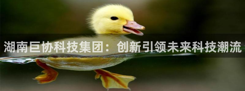 湖南巨协科技集团：创新引领未来科技潮流