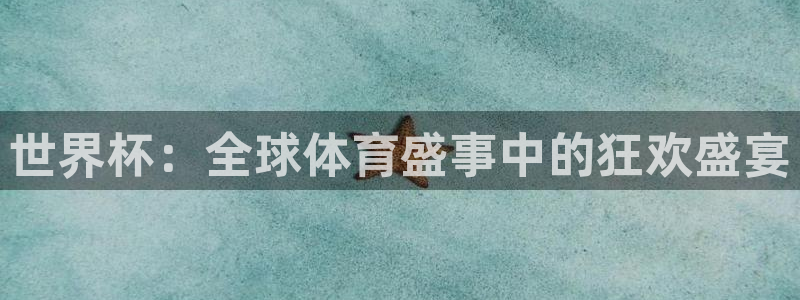 世界杯：全球体育盛事中的狂欢盛宴
