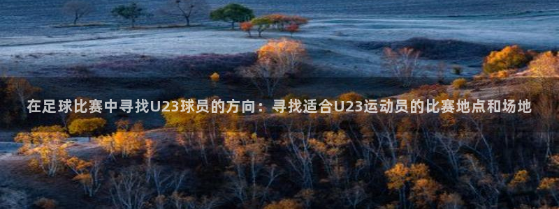 在足球比赛中寻找U23球员的方向：寻找适合U23运动员的比赛地点和场地